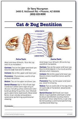 Cat & Dog Dentition Education Sheets