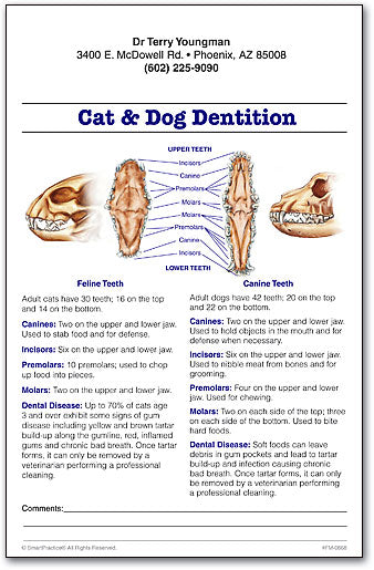 Cat & Dog Dentition Education Sheets