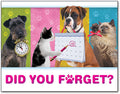 Dogs/cats calendars/Clocks Laser Card