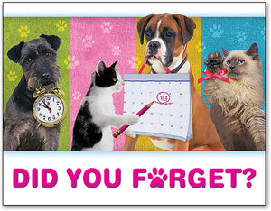 Dogs/cats calendars/Clocks Laser Card