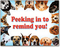 Dogs/puppies Laser Card