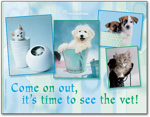 Come On Out Pets Postcard
