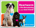 colourful Heartworm 4-up Laser Card
