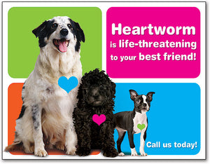 colourful Heartworm 4-up Laser Card