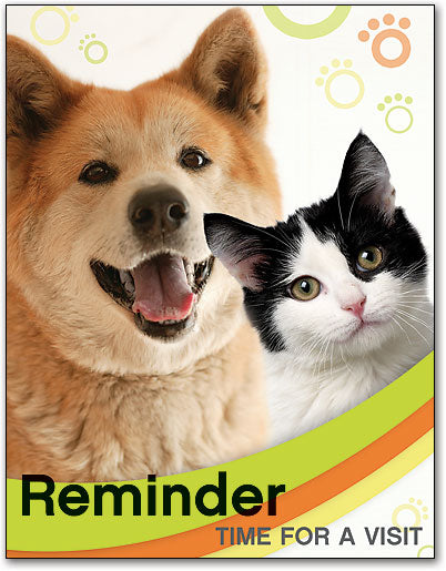 Dog/Cat Postcard