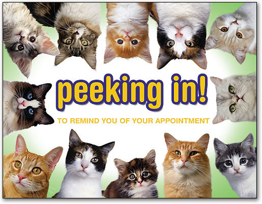 Peeking In Cats 4-Up Laser Card