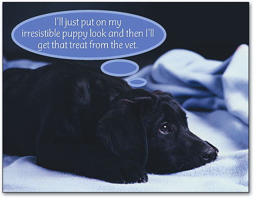 Black Lab Puppy Laser Card
