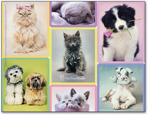 Cuddly Pets Laser Card