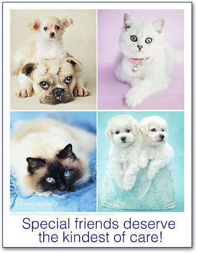 Kindest Care 4up Laser Card
