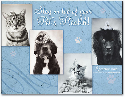 Stay On Top Pets Laser Card