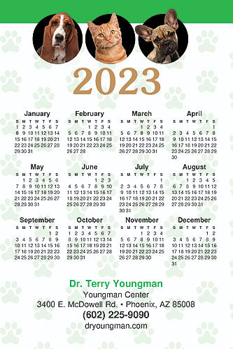 Border Bubbles Calendar Postcard