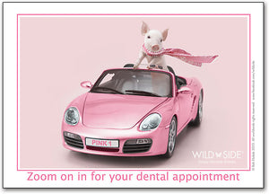Pig in Pink Car Postcard