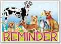 Dogs/cats on green grass Postcard