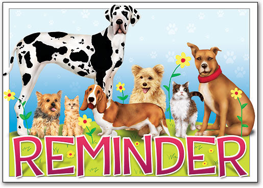 Dogs/cats on green grass Postcard