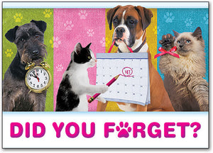 Forgetful Pets Postcard