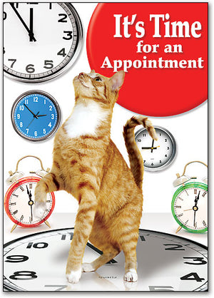 Cat amongst clocks Postcard