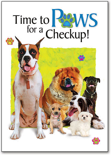 Paws for a Checkup Postcard