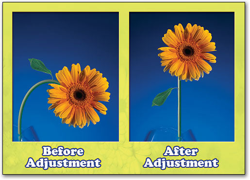 Adjusted Flower Postcard