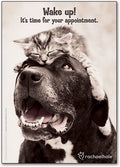 Wake Up for Appointment Deluxe Standard Postcard