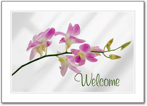 Pink Orchid Welcome Folding Card