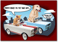 Dog/cat racing in cars Postcard
