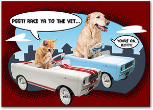 Dog/cat racing in cars Postcard