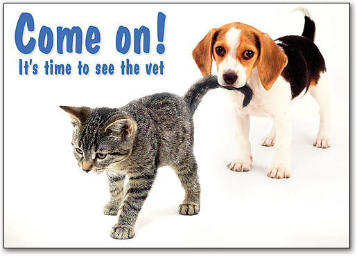Tail Pull Puppy Postcard