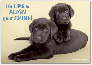 Align Spine Puppies Postcard