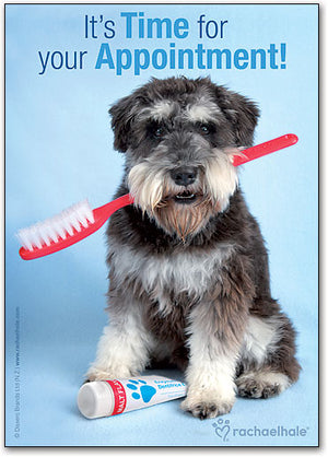 Dental Dog Deluxe Postcard