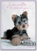 Yorkie Note Standard Postcard