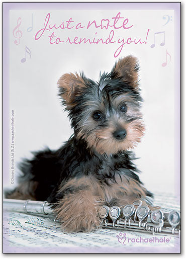 Yorkie Note Standard Postcard