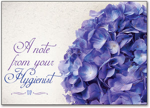 Purple Hydrangea Postcard