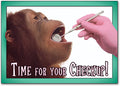 Monkey Business Postcard