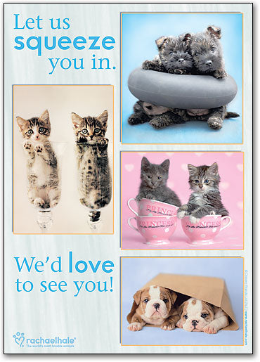 Squeeze In Postcard