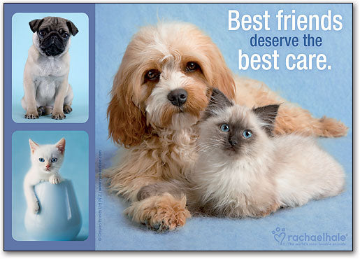Best Friends Postcard