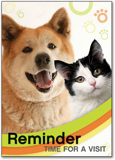 Dog/Kitten Postcard