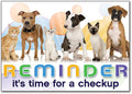 Checkup Time Postcard