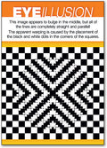 Eye Lusion Postcard