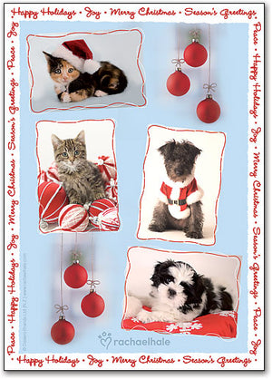 Holiday Frames Postcard