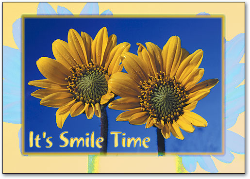 Sunflower Smile Postcard
