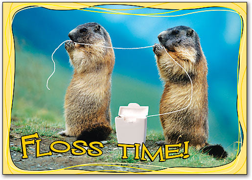 Floss Twins Postcard