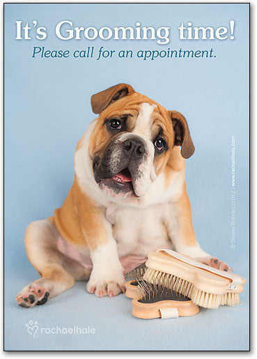 Blue Bulldog Postcard