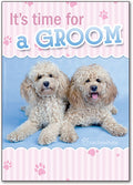 Grooming Twins Postcard