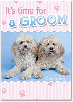 Grooming Twins Postcard