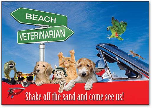 Shake Off The Sand customisable Standard Postcard