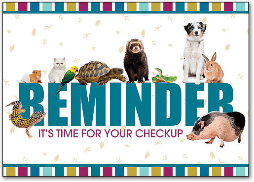 The Bunch customisable Postcard