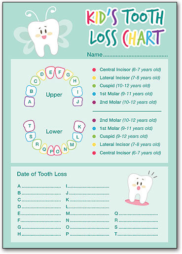 Kid’s Tooth Loss Charts – Smart Practice Australia