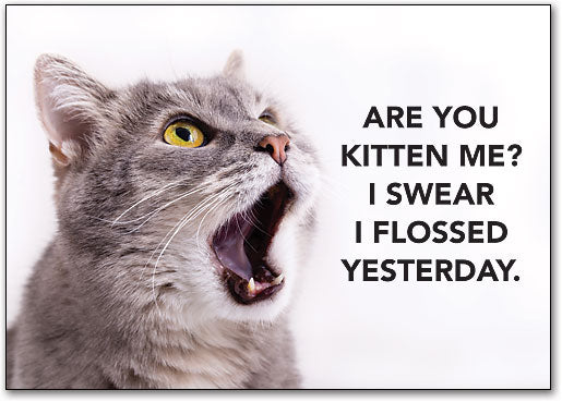 Kitten About Flossing Postcard