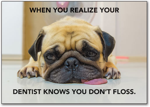 Pug Floss Postcard