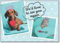 Royal Pets Postcard